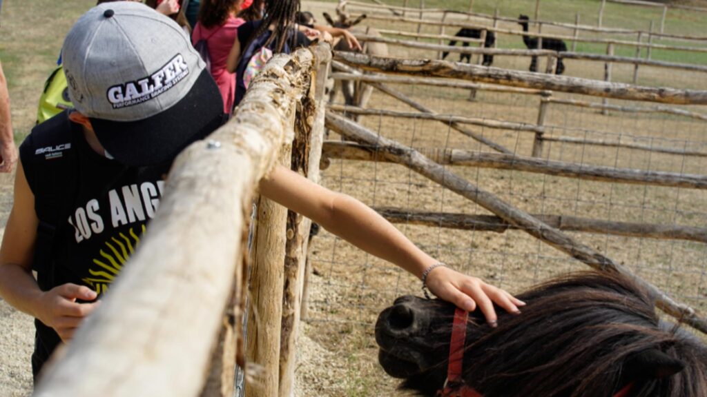 Gallery-Casabianca-didattica-2