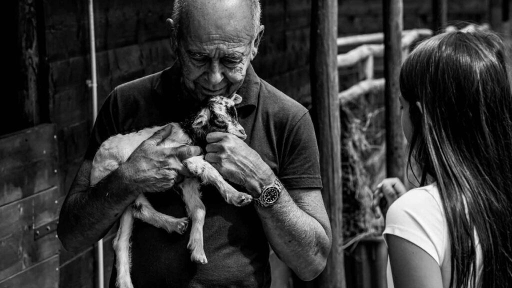 Gallery-Casabianca-gite-fattoria